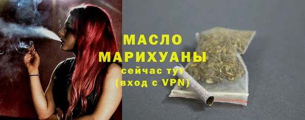 индика Слюдянка