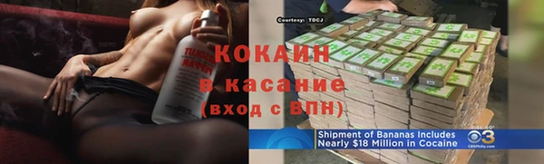 индика Слюдянка