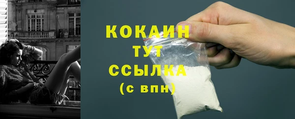 индика Слюдянка