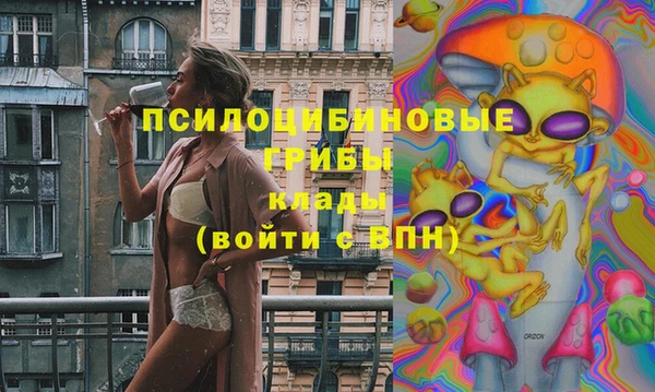 прущая мука Снежногорск