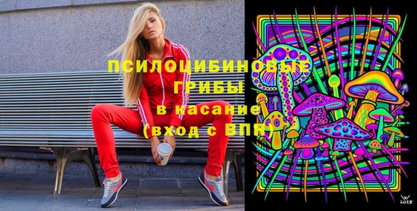прущая мука Снежногорск