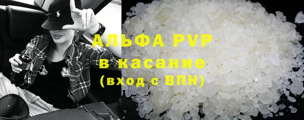 индика Слюдянка