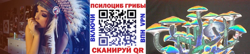 Купить закладки Семилуки Галлюциногенные грибы Magic Shrooms